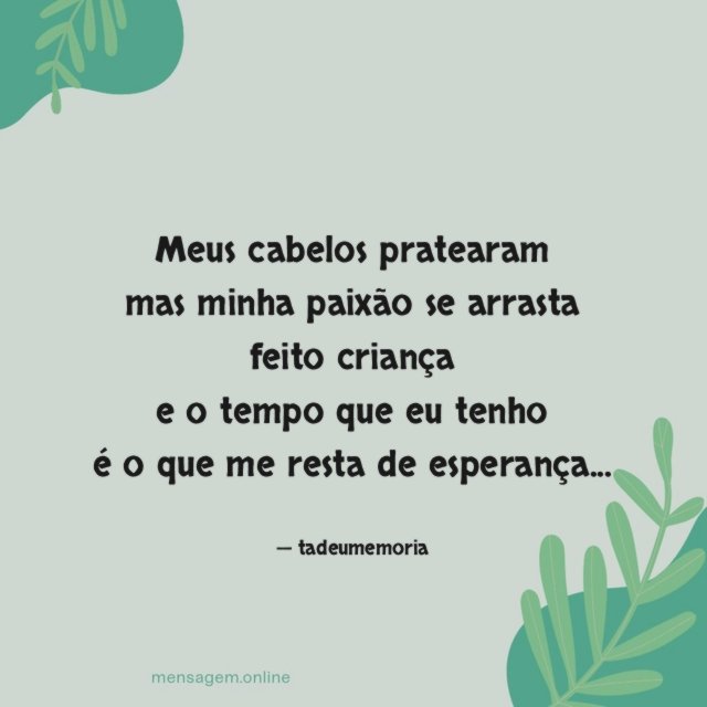 meus cabelos pratearam mas minha paixão se arrasta feito criança