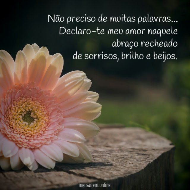Não preciso de muitas palavras
