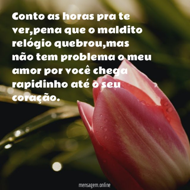Conto as horas pra te ver