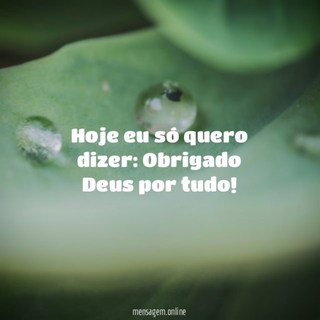 Hoje eu só quero dizer…
