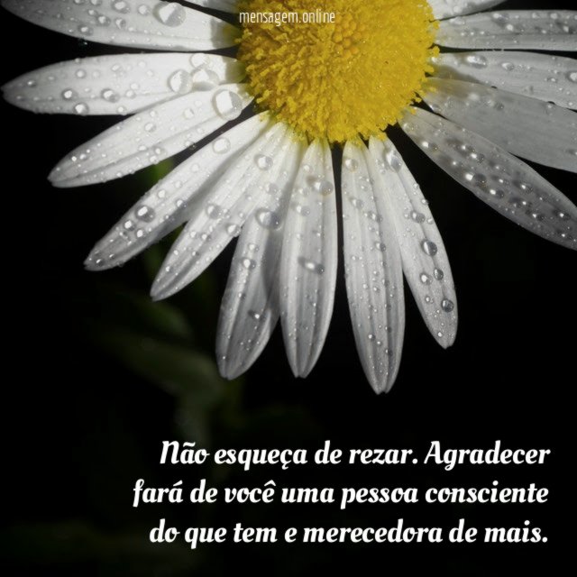Reze sempre