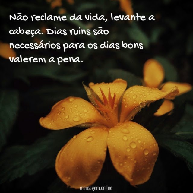 Não reclame da vida