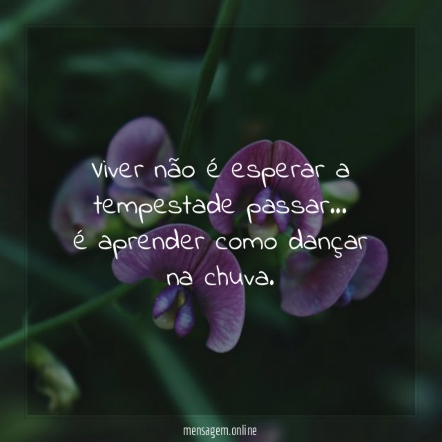Viver não é esperar a tempestade passar