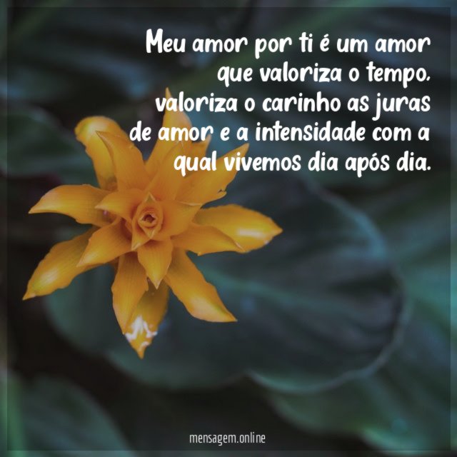 Meu amor por ti é um amor que valoriza o tempo