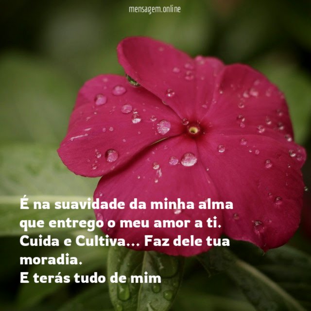 É na suavidade da minha alma