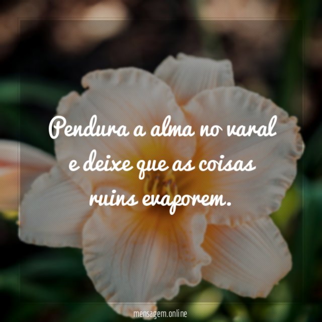 Alma limpa