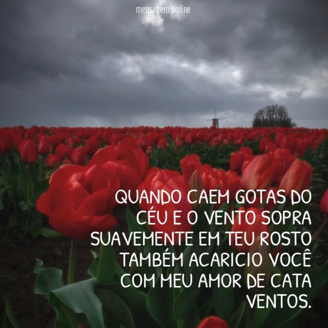 QUANDO CAEM GOTAS DO CÉU E O VENTO