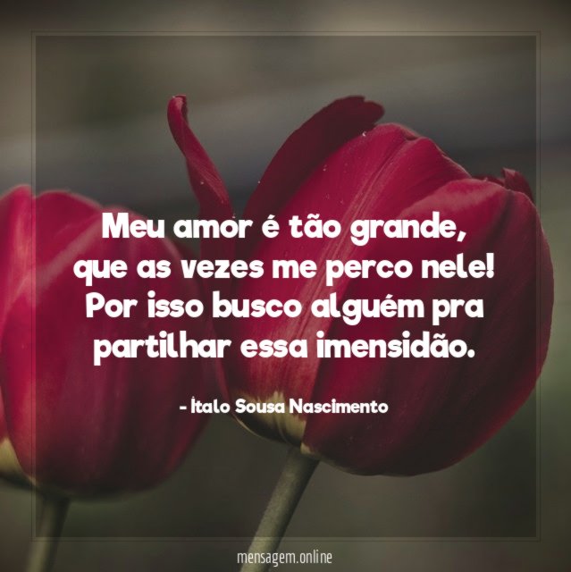 Meu amor é tão grande