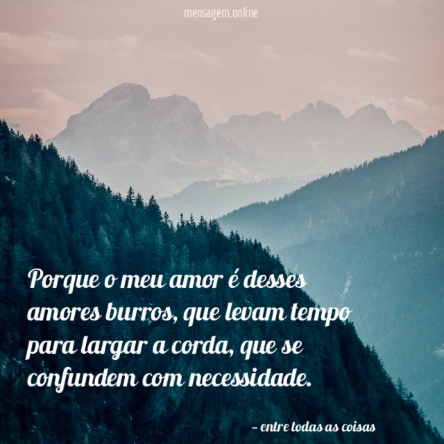Porque o meu amor é desses amores burros