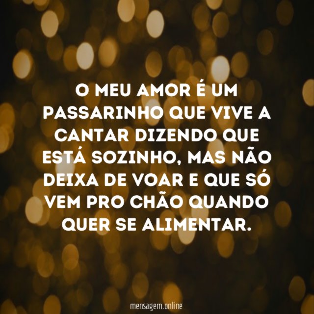 O meu amor é um passarinho que vive