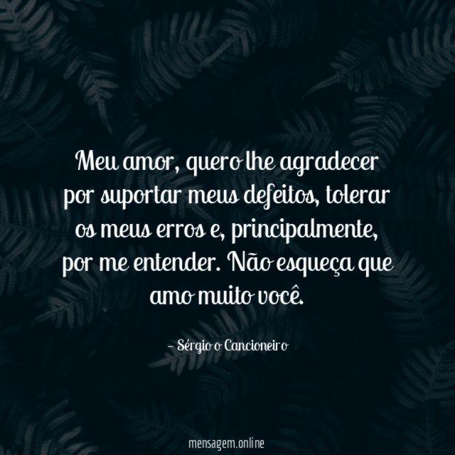 Meu amor