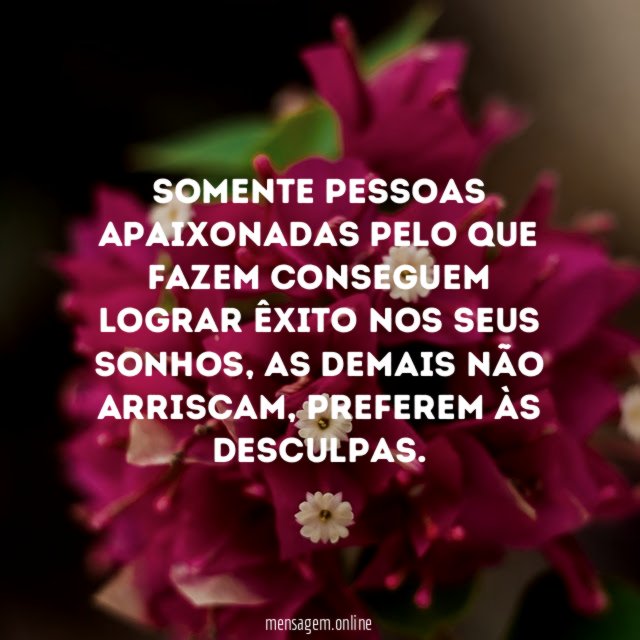 Somente pessoas apaixonadas pelo que fazem conseguem lograr êxito nos seus sonhos