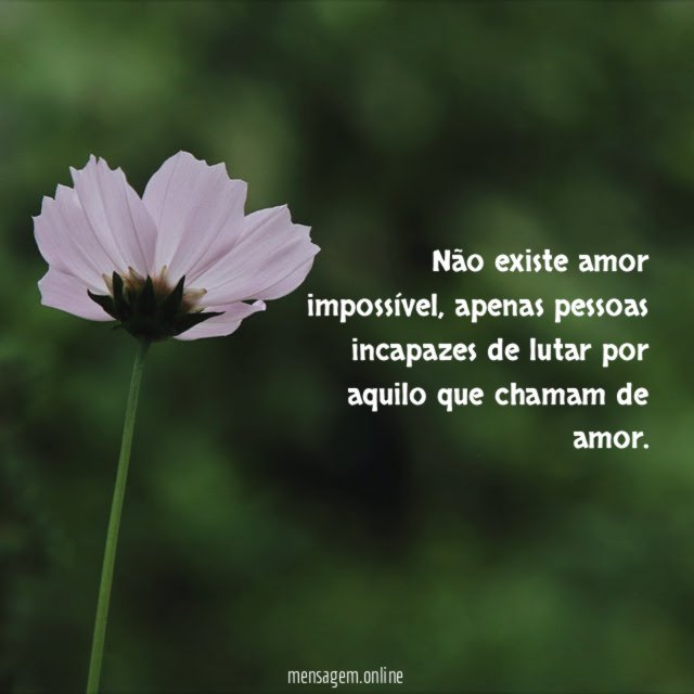 Não existe amor impossível