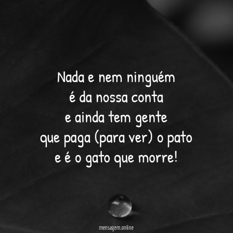 nada e nem ninguém é da nossa conta e ainda