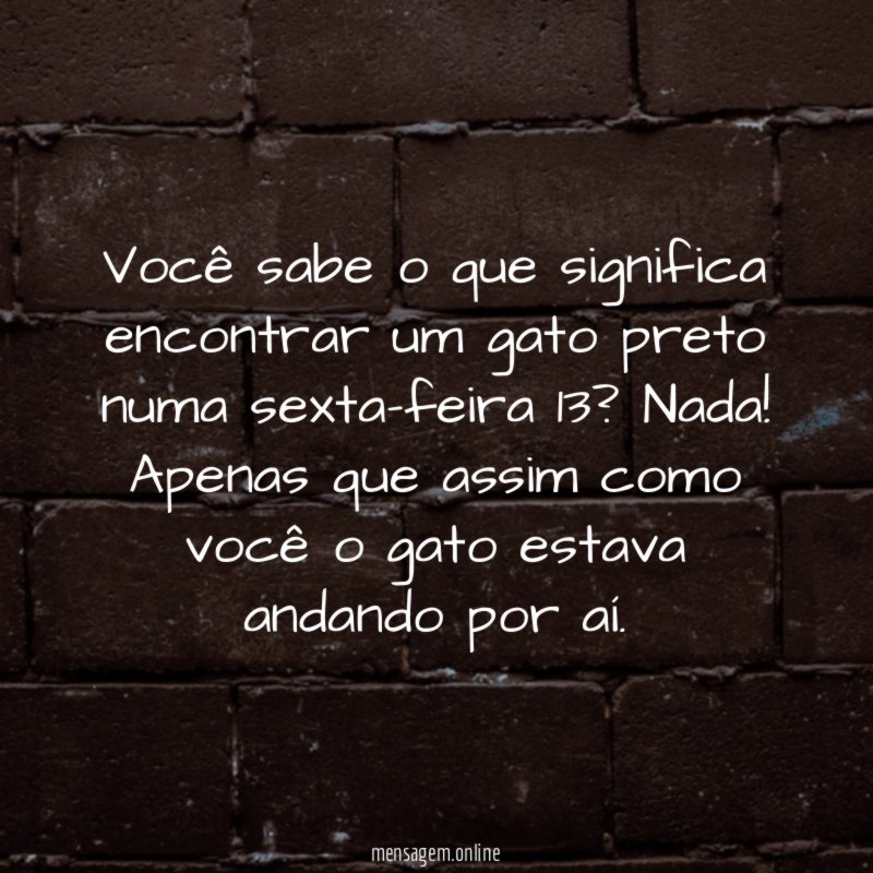 Você sabe o que significa encontrar um gato preto numa sexta-feira 13