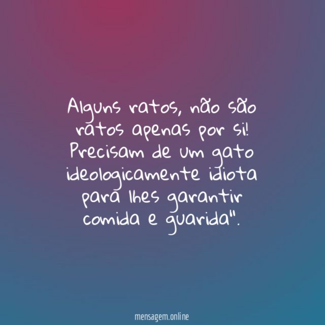 Alguns ratos