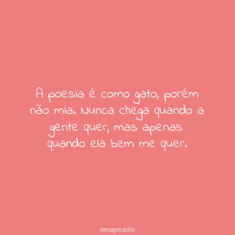 A poesia é como gato
