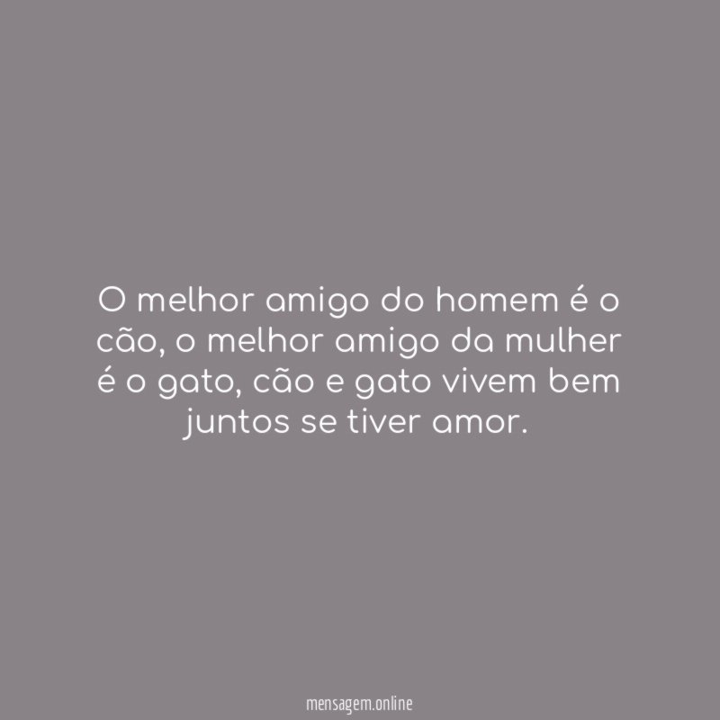 O melhor amigo do homem é o cão