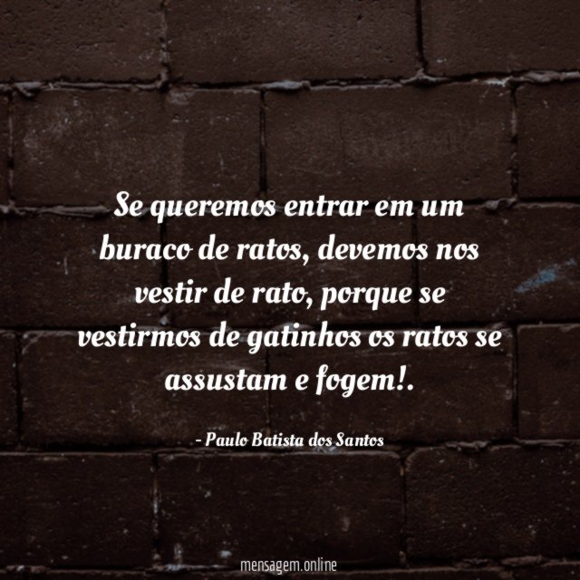 Se queremos entrar em um buraco de ratos