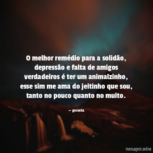 O melhor remédio para a solidão