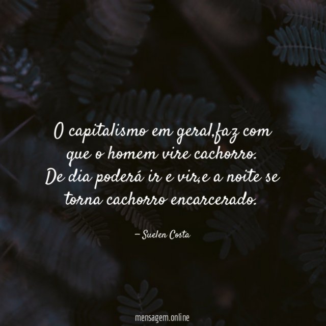o capitalismo em geral