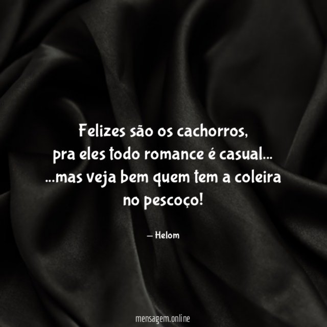 Felizes são os cachorros
