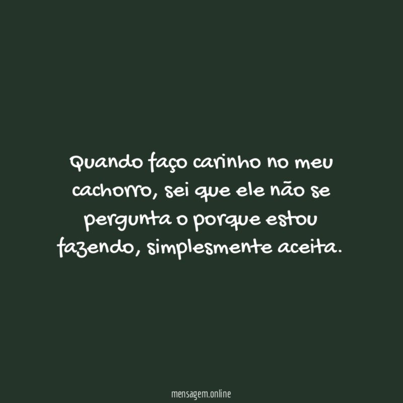 Quando faço carinho no meu cachorro