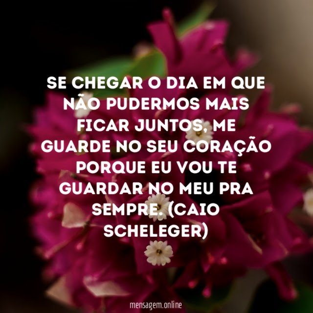 Se chegar o dia