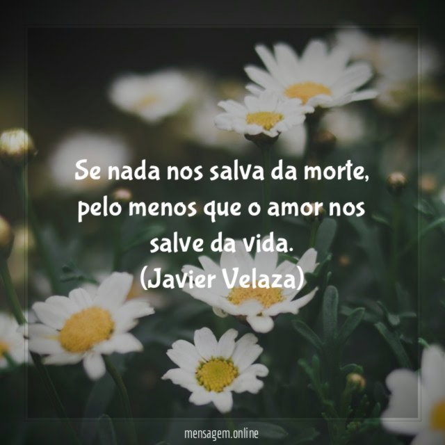 Amar é viver