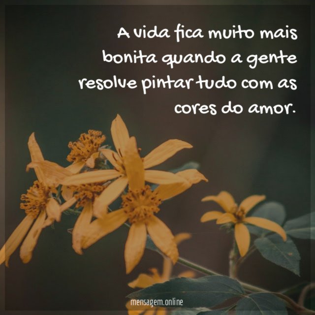 As cores do amor