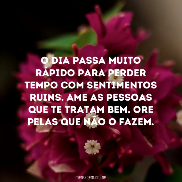 O dia