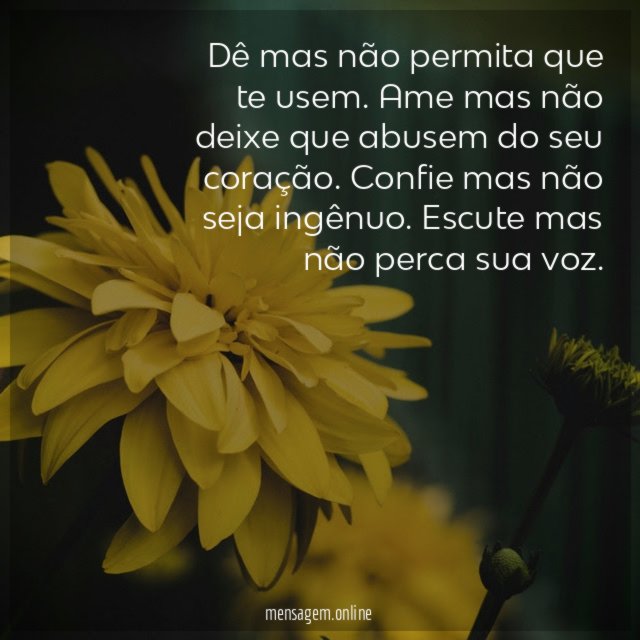 Conselhos para vida