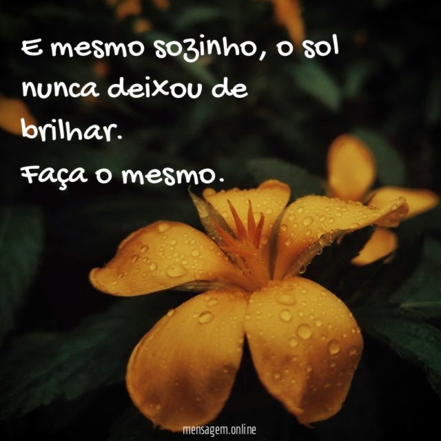 Mesmo sozinho, o sol sempre brilha