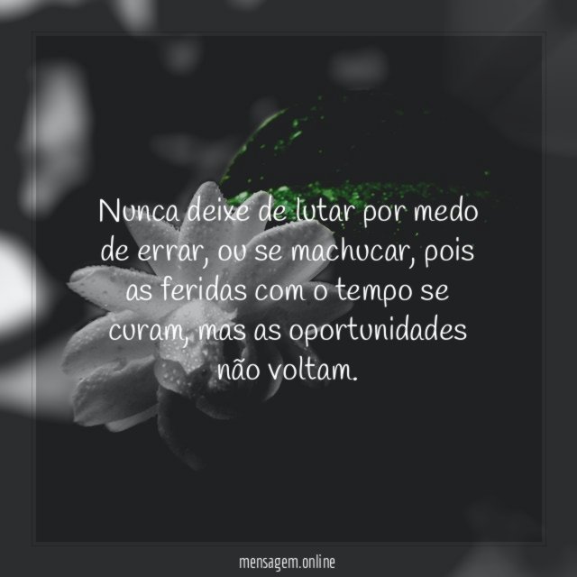 Lute