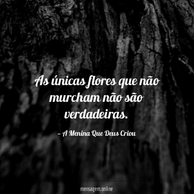 As únicas flores que não murcham não são verdadeiras