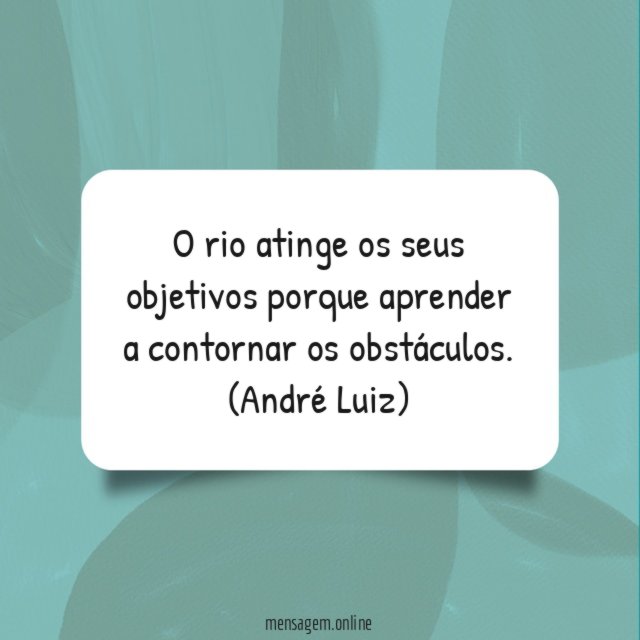 O rio atinge os seus objetivos