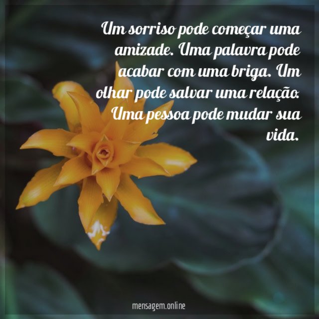 Vida