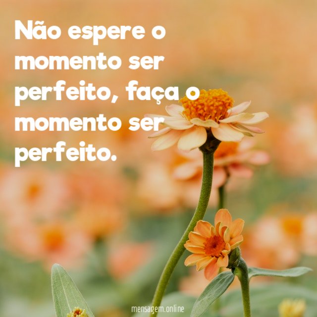Momento perfeito