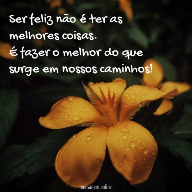 Ser feliz…