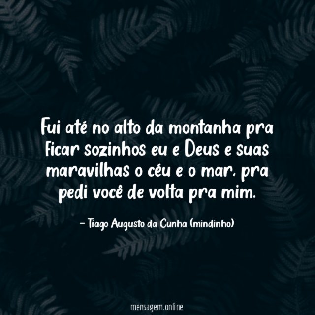 Fui até no alto da montanha pra ficar