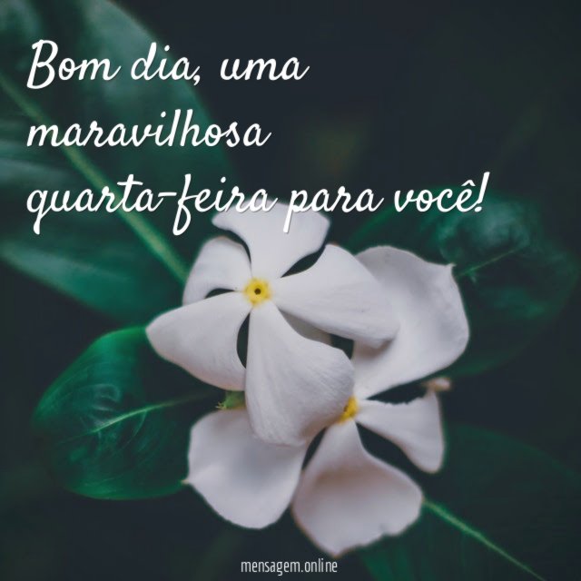 Quarta-feira