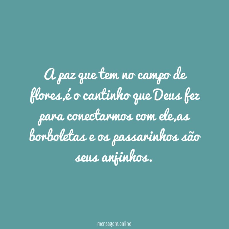 A paz que tem no campo de flores