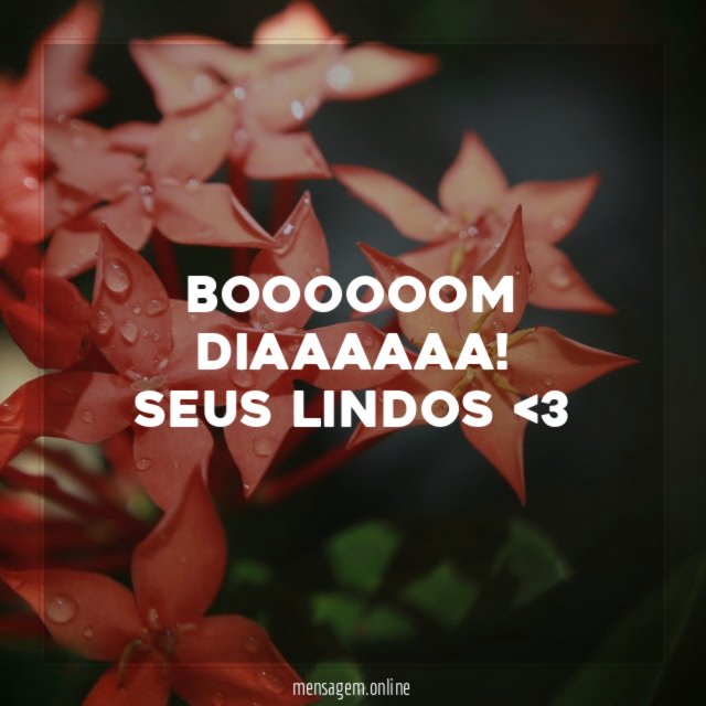 Bom dia seus lindos!