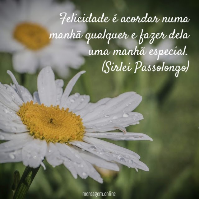 Felicidade