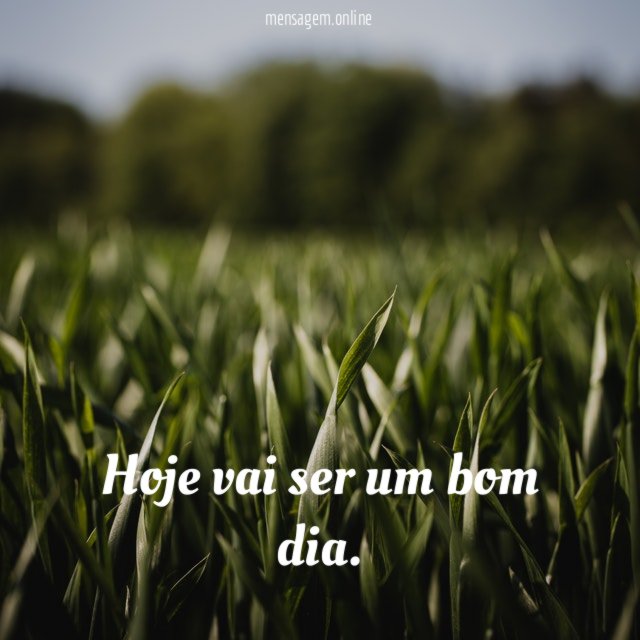 Bom dia