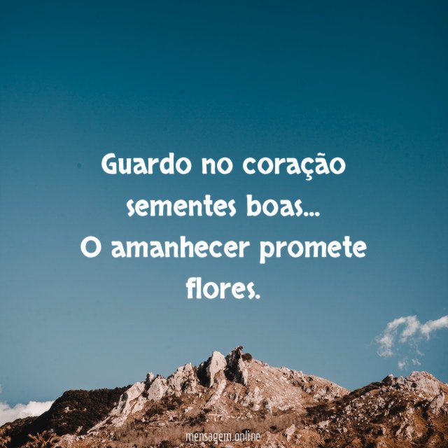 Promete flores