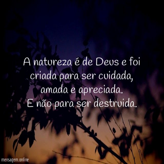 A natureza é de Deus e foi criada para ser cuidada