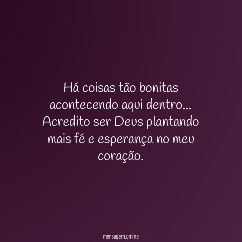 Há coisas tão bonitas acontecendo aqui dentro
