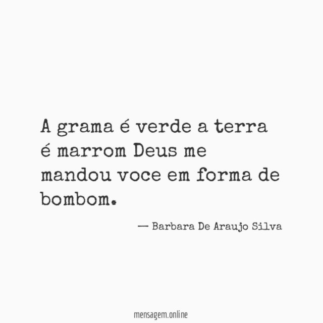 A grama é verde a terra é marrom