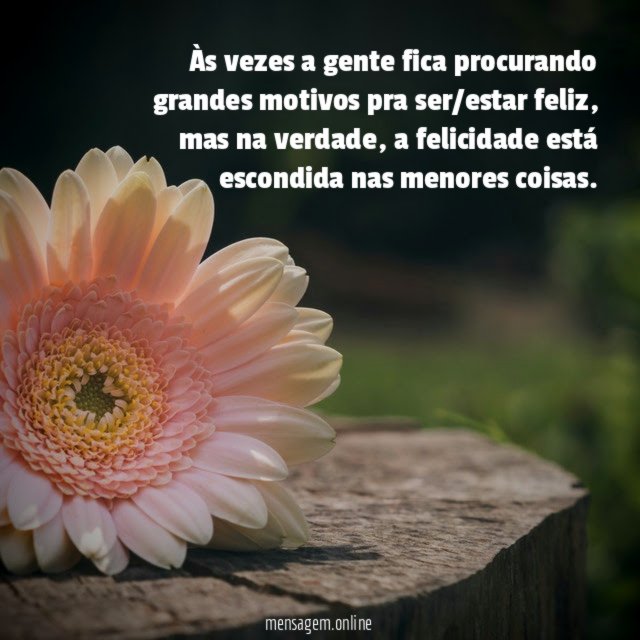 Menores coisas